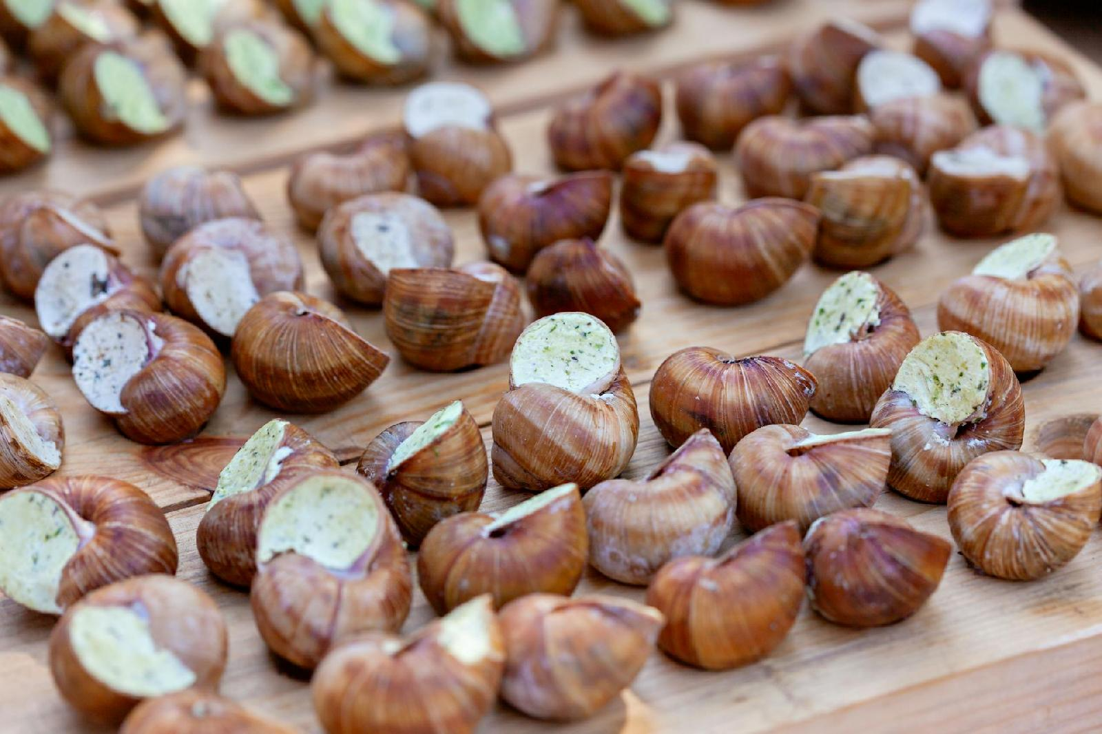 Le processus du degorgement d’escargots : astuces et conseils